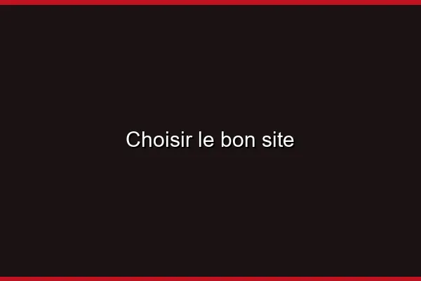 Choisir le bon site
